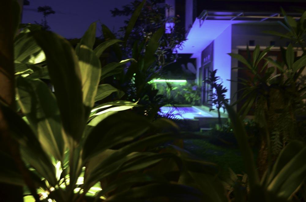 Beluran Serene Guesthouse Selemadeg Extérieur photo