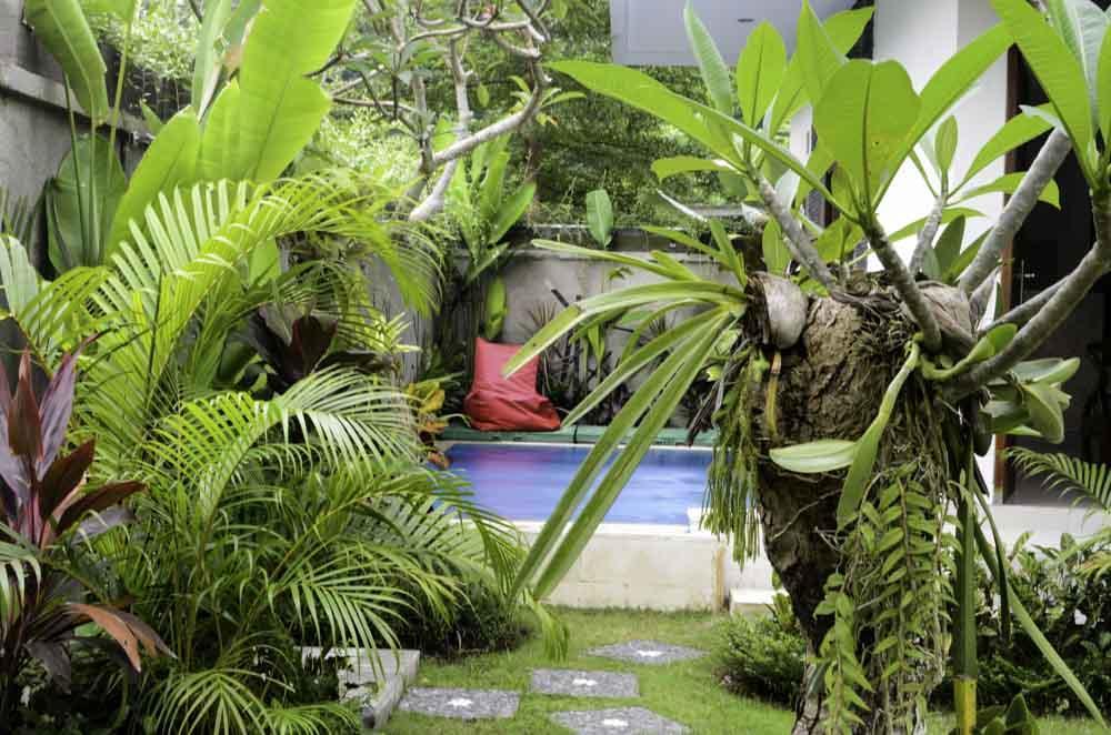 Beluran Serene Guesthouse Selemadeg Extérieur photo